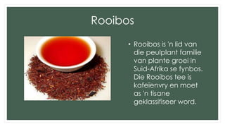 Rooibos
• Rooibos is 'n lid van
die peulplant familie
van plante groei in
Suid-Afrika se fynbos.
Die Rooibos tee is
kafeïenvry en moet
as 'n tisane
geklassifiseer word.
 