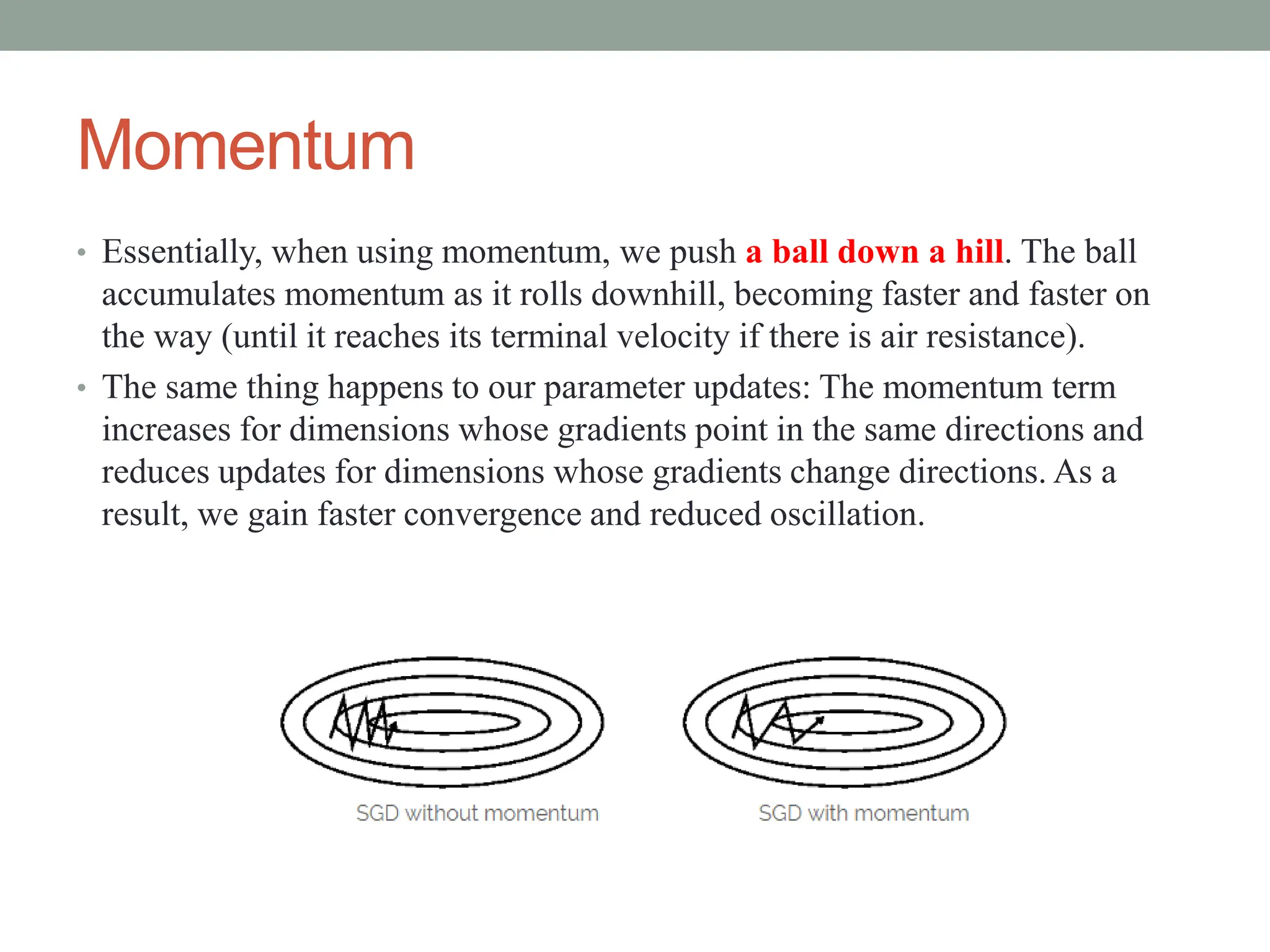 Momentum
• Essentially, when using momentum, we push a ball down a hill. The ball
accumulates momentum as it rolls downhill, becoming faster and faster on
the way (until it reaches its terminal velocity if there is air resistance).
• The same thing happens to our parameter updates: The momentum term
increases for dimensions whose gradients point in the same directions and
reduces updates for dimensions whose gradients change directions. As a
result, we gain faster convergence and reduced oscillation.
 
