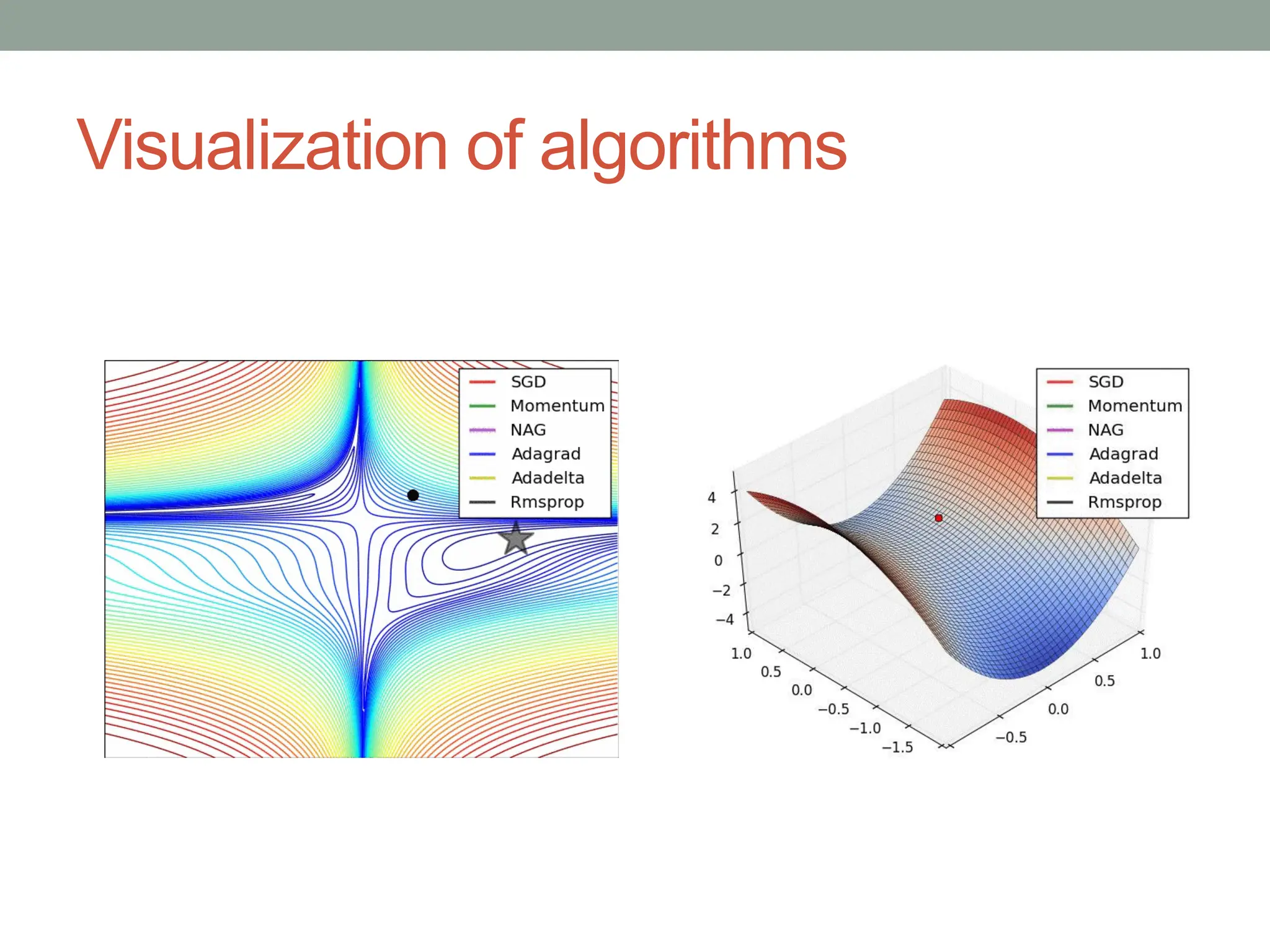 Visualization of algorithms
 