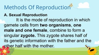 Methods Of Reproduction
A. Sexual Reproduction
It is the mode of reproduction in which
gamete cells from two organisms, one
male and one female, combine to form a
singular zygote. This zygote shares half of
its genetic information with the father and the
other half with the mother.
 