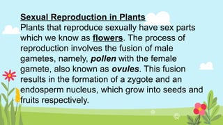 Sexual Reproduction in Plants
Plants that reproduce sexually have sex parts
which we know as flowers. The process of
reproduction involves the fusion of male
gametes, namely, pollen with the female
gamete, also known as ovules. This fusion
results in the formation of a zygote and an
endosperm nucleus, which grow into seeds and
fruits respectively.
 