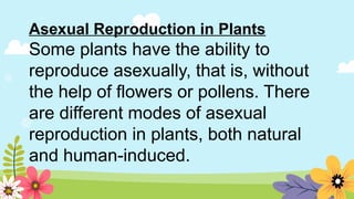 Asexual Reproduction in Plants
Some plants have the ability to
reproduce asexually, that is, without
the help of flowers or pollens. There
are different modes of asexual
reproduction in plants, both natural
and human-induced.
 