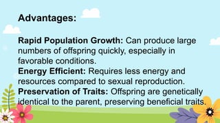 Advantages:
Rapid Population Growth: Can produce large
numbers of offspring quickly, especially in
favorable conditions.
Energy Efficient: Requires less energy and
resources compared to sexual reproduction.
Preservation of Traits: Offspring are genetically
identical to the parent, preserving beneficial traits.
 
