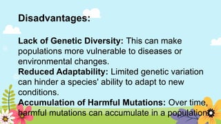 Disadvantages:
Lack of Genetic Diversity: This can make
populations more vulnerable to diseases or
environmental changes.
Reduced Adaptability: Limited genetic variation
can hinder a species' ability to adapt to new
conditions.
Accumulation of Harmful Mutations: Over time,
harmful mutations can accumulate in a population.
 