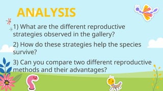 ANALYSIS
1) What are the different reproductive
strategies observed in the gallery?
2) How do these strategies help the species
survive?
3) Can you compare two different reproductive
methods and their advantages?
 