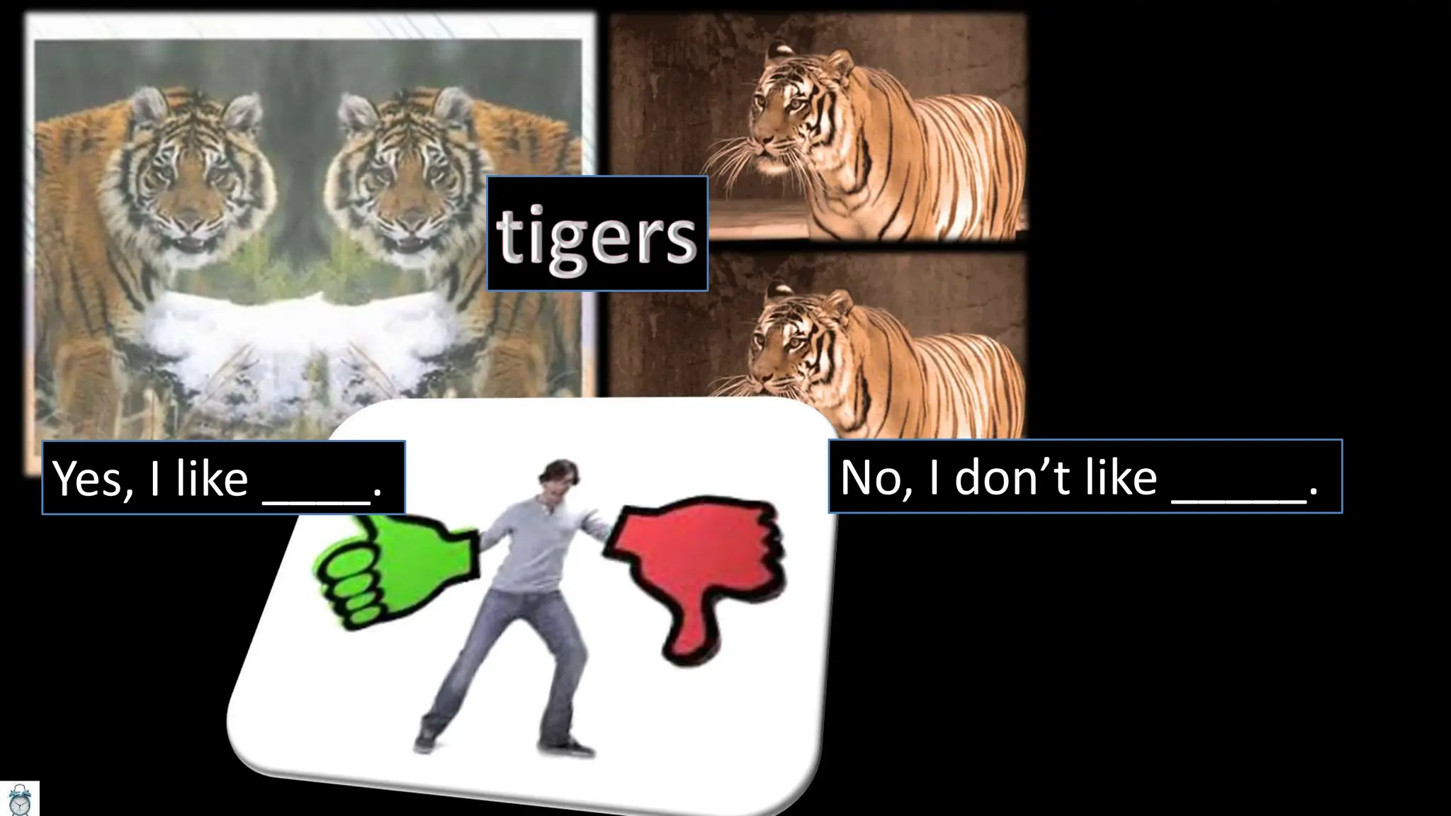 Yes, I like ____. No, I don’t like _____.