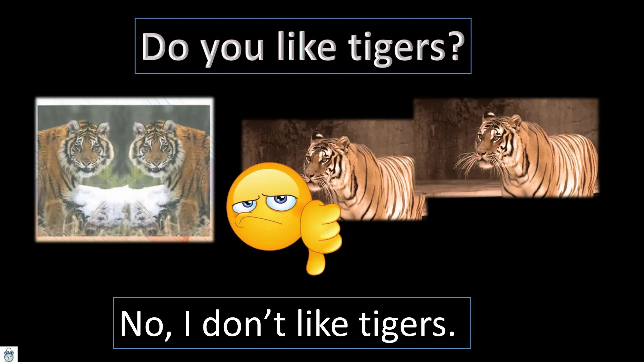 No, I don’t like tigers.