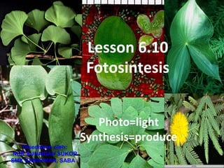 Lesson 6.10
                       Fotosintesis


                         Photo=light
                      Synthesis=produce
   Disediakan oleh:
NUR SUHAIDAH SUKOR
SMK SANDAKAN, SABAH
 