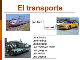El transporte un tren   un taxi   un autobús un ómnibus un microbús una micro/un micro una guagua  un camión   una buseta 