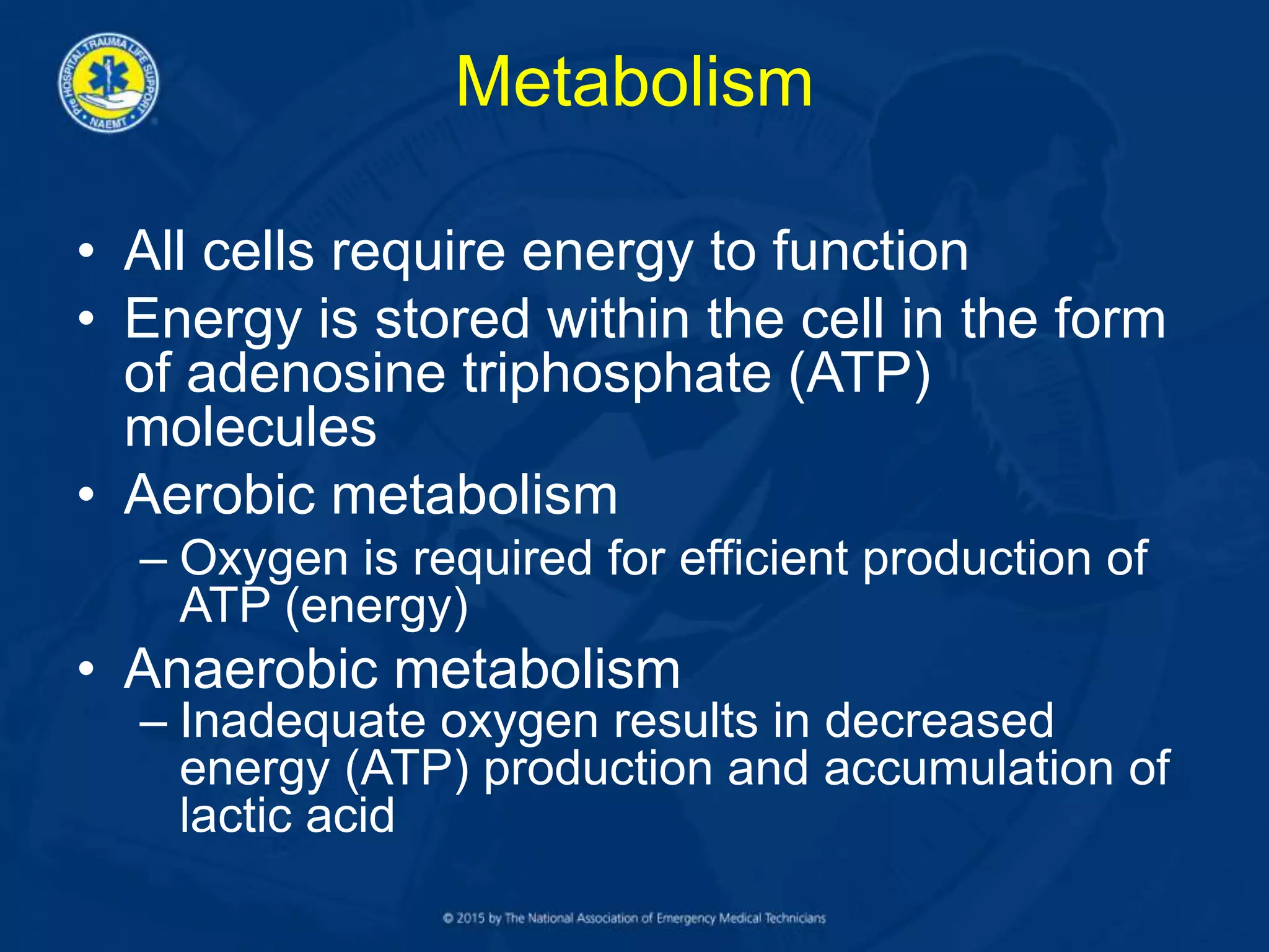 Metabolism
• All cells require energy to function
• Energy is stored within the cell in the form
of adenosine triphosphate (ATP)
molecules
• Aerobic metabolism
– Oxygen is required for efficient production of
ATP (energy)
• Anaerobic metabolism
– Inadequate oxygen results in decreased
energy (ATP) production and accumulation of
lactic acid
 