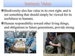Intrinsic Value
Biodiversity also has value in its own right, and is
not something that should simply be viewed for its
usefulness to humans.
Human responsibility toward other living things,
and obligations to future generations, provide strong
reasons for conservation.
 