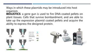 WAYS
Ways in which these plasmids may be introduced into host
organism.
BIOLISTICS: a gene gun is used to fire DNA-coated pellets on
plant tissues. Cells that survive bombardment, and are able to
take up the expression plasmid coated pellets and acquire the
ability to express the designed protein.
 