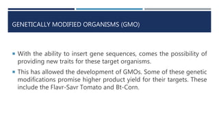 GENETICALLY MODIFIED ORGANISMS (GMO)
 With the ability to insert gene sequences, comes the possibility of
providing new traits for these target organisms.
 This has allowed the development of GMOs. Some of these genetic
modifications promise higher product yield for their targets. These
include the Flavr-Savr Tomato and Bt-Corn.
 