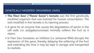 GENETICALLY MODIFIED ORGANISMS (GMO)
 The Flavr-Savr (“Flavor Savor”) tomato was the first genetically
modified organism that was licensed for human consumption. The
trait modified in this tomato is its ripening process.
 A gene for an enzyme that causes the degradation of pectin in the
cell walls (i.e. polygalacturonase) normally softens the fruit as it
ripens.
 In Flavr Savr tomatoes, an inhibitor (i.e. antisense RNA) disrupts the
expression of this gene, thereby delaying the softening of the fruit
and extending the time it may be kept in storage and transported
to markets.
 