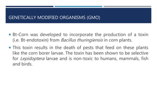 GENETICALLY MODIFIED ORGANISMS (GMO)
 Bt-Corn was developed to incorporate the production of a toxin
(i.e. Bt-endotoxin) from Bacillus thuringiensis in corn plants.
 This toxin results in the death of pests that feed on these plants
like the corn borer larvae. The toxin has been shown to be selective
for Lepidoptera larvae and is non-toxic to humans, mammals, fish
and birds.
 