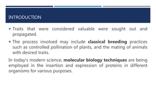 INTRODUCTION
 Traits that were considered valuable were sought out and
propagated.
 The process involved may include classical breeding practices
such as controlled pollination of plants, and the mating of animals
with desired traits.
In today’s modern science, molecular biology techniques are being
employed in the insertion and expression of proteins in different
organisms for various purposes.
 