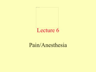 Lecture 6
Pain/Anesthesia
 