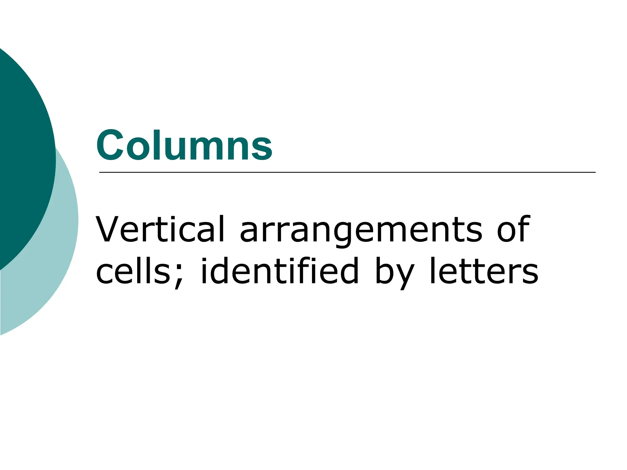 Columns
Vertical arrangements of
cells; identified by letters
 