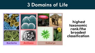 Lesson 6. Basic Taxonomy and Classification | PDF