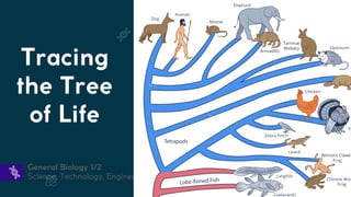 Lesson 6. Basic Taxonomy and Classification | PDF