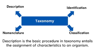 Taxonomy Explample Simple Lesson 6. Basic Taxonomy and Classification | PDF