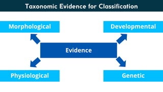 Lesson 6. Basic Taxonomy and Classification | PDF