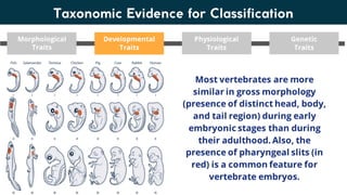 Lesson 6. Basic Taxonomy and Classification | PDF