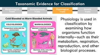 Lesson 6. Basic Taxonomy and Classification | PDF