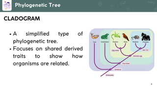 Lesson 6. Basic Taxonomy and Classification | PDF