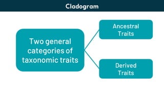 Lesson 6. Basic Taxonomy and Classification | PDF