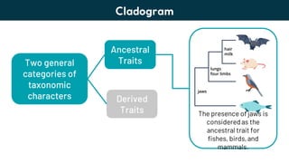 Lesson 6. Basic Taxonomy and Classification | PDF