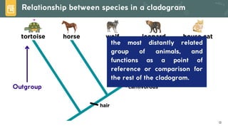 Lesson 6. Basic Taxonomy and Classification | PDF