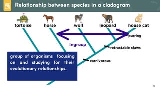 Lesson 6. Basic Taxonomy and Classification | PDF