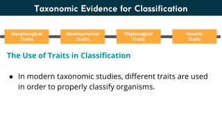 Lesson 6. Basic Taxonomy and Classification | PDF