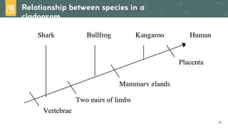 Lesson 6. Basic Taxonomy and Classification | PDF