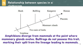 Lesson 6. Basic Taxonomy and Classification | PDF