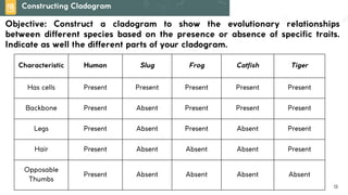 Lesson 6. Basic Taxonomy and Classification | PDF