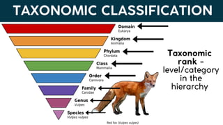 Lesson 6. Basic Taxonomy and Classification | PDF