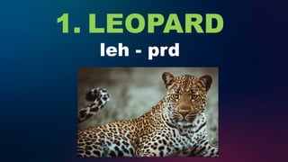 1. LEOPARD
leh - prd
·
prd
 