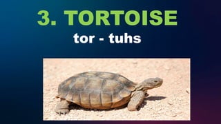 3. TORTOISE
tor - tuhs
 