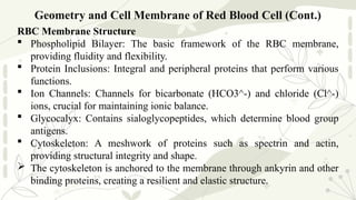 Lesson 6 - Biomaterial Reactions in Blood.pptx