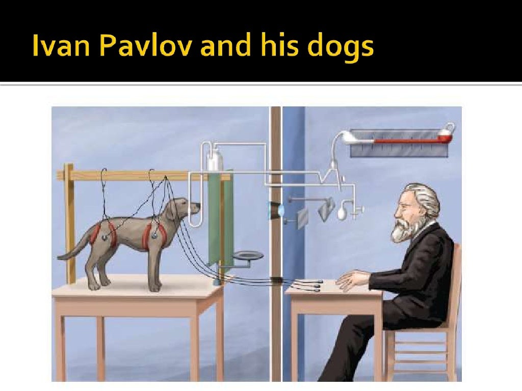 Lesson 6 classical conditioning