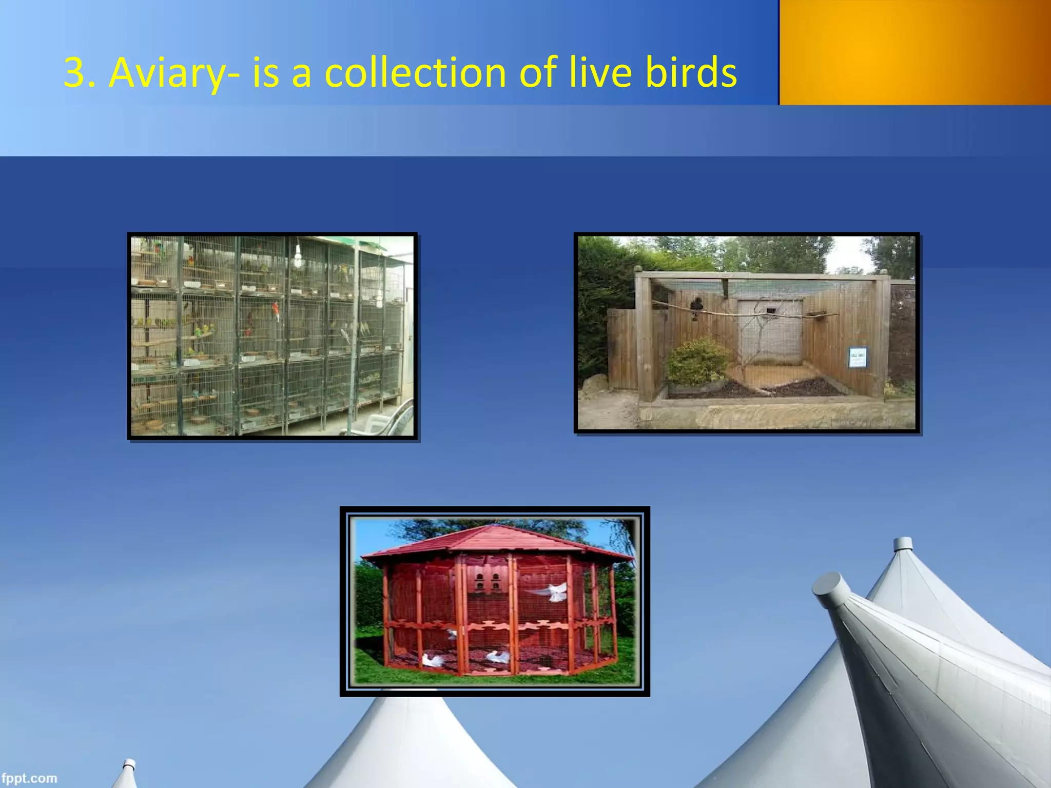 3. Aviary- is a collection of live birds
 