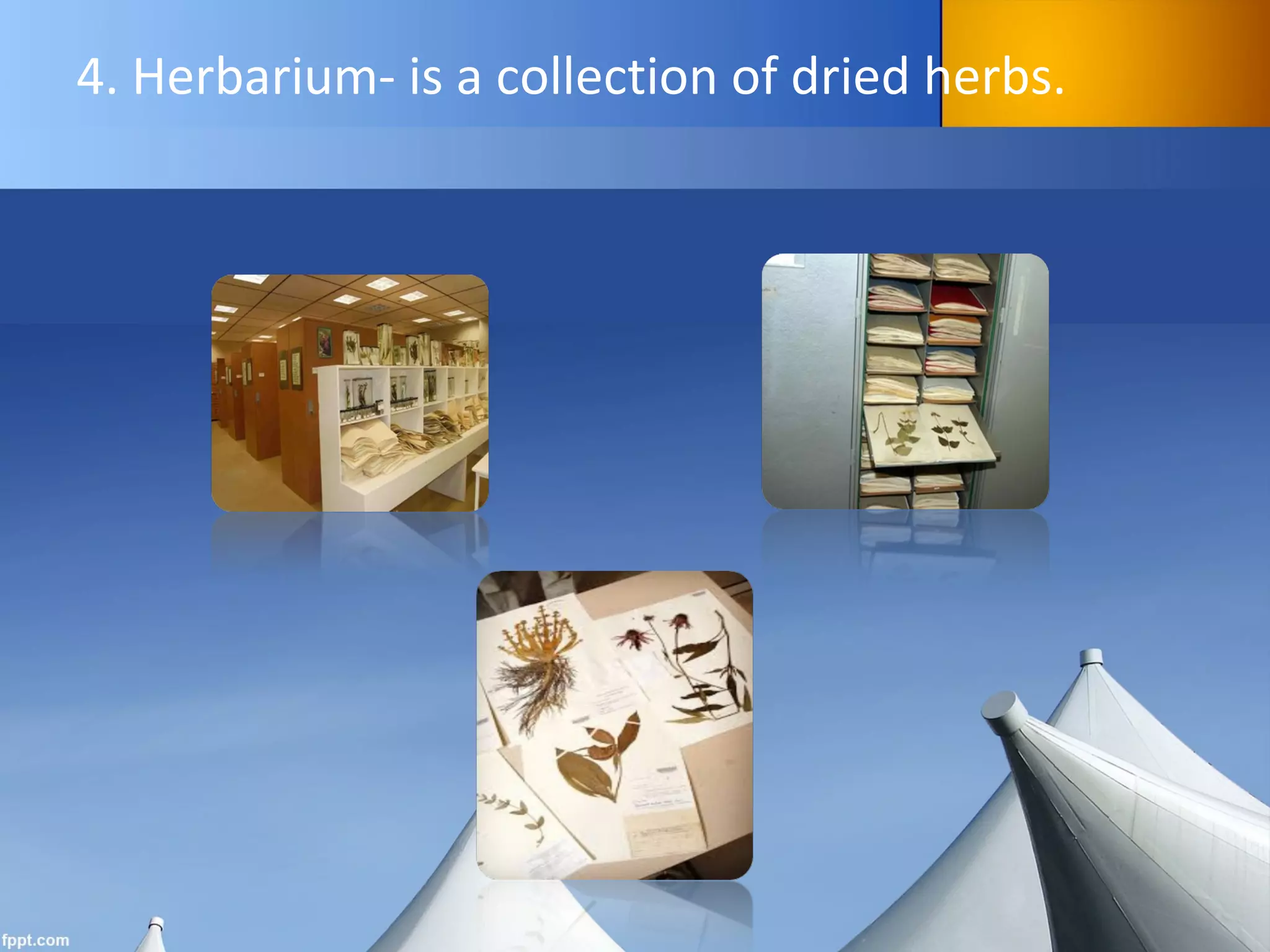 4. Herbarium- is a collection of dried herbs.
 