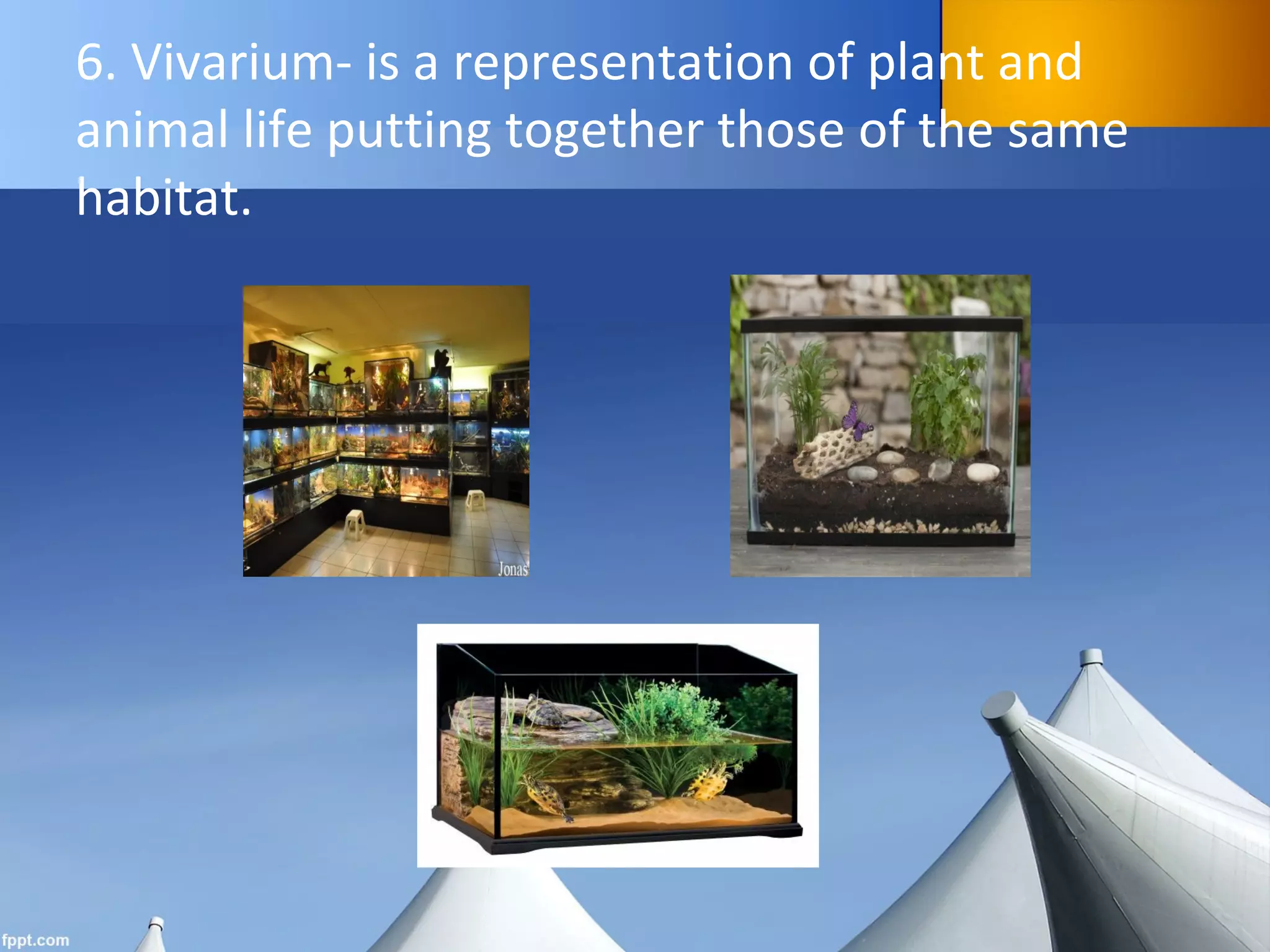 6. Vivarium- is a representation of plant and
animal life putting together those of the same
habitat.
 
