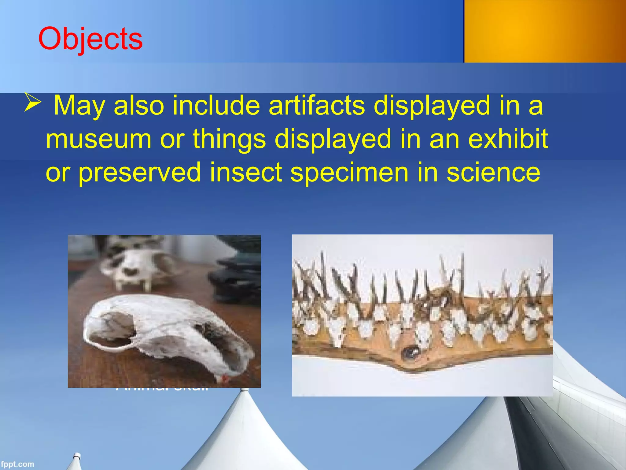 Objects
 May also include artifacts displayed in a
museum or things displayed in an exhibit
or preserved insect specimen in science
Animal skull Different Horns
 