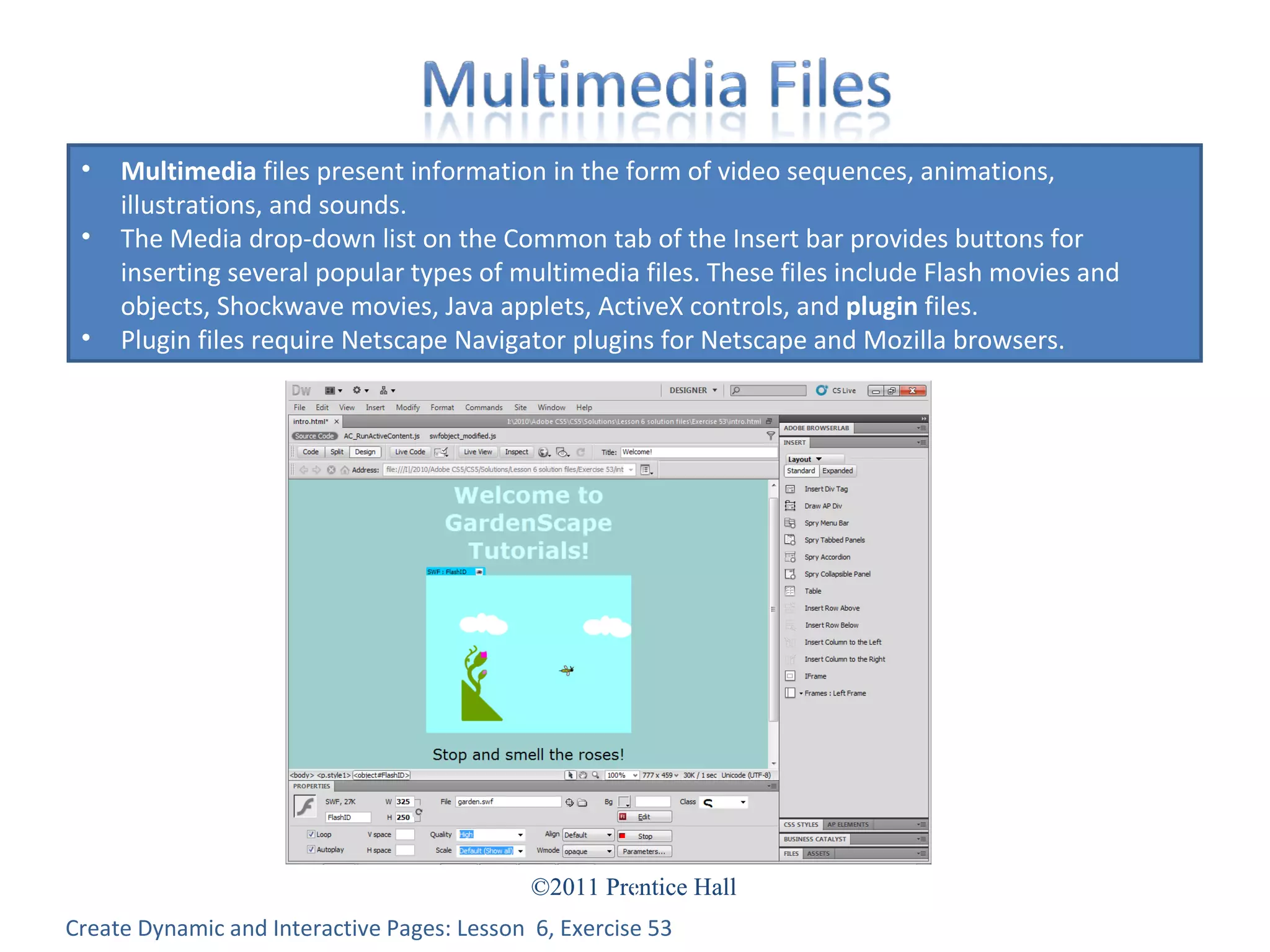 Create Dynamic and Interactive Pages: Lesson  6, Exercise 53 Multimedia  files present information in the form of video sequences, animations, illustrations, and sounds.  The Media drop-down list on the Common tab of the Insert bar provides buttons for inserting several popular types of multimedia files. These files include Flash movies and objects, Shockwave movies, Java applets, ActiveX controls, and  plugin  files.  Plugin files require Netscape Navigator plugins for Netscape and Mozilla browsers. 