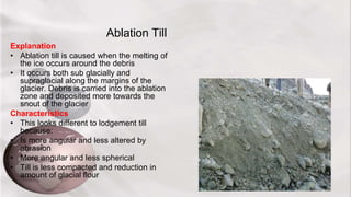 Ablation Till
Explanation
• Ablation till is caused when the melting of
the ice occurs around the debris
• It occurs both sub glacially and
supraglacial along the margins of the
glacier. Debris is carried into the ablation
zone and deposited more towards the
snout of the glacier
Characteristics
• This looks different to lodgement till
because:
• Is more angular and less altered by
abrasion
• More angular and less spherical
• Till is less compacted and reduction in
amount of glacial flour
 