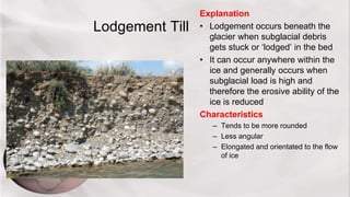Lodgement Till
Explanation
• Lodgement occurs beneath the
glacier when subglacial debris
gets stuck or ‘lodged’ in the bed
• It can occur anywhere within the
ice and generally occurs when
subglacial load is high and
therefore the erosive ability of the
ice is reduced
Characteristics
– Tends to be more rounded
– Less angular
– Elongated and orientated to the flow
of ice
 