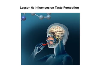 Lesson 6: Inﬂuences on Taste Perception
 